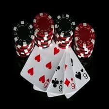 x7 bet com