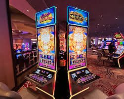 x7 bet com